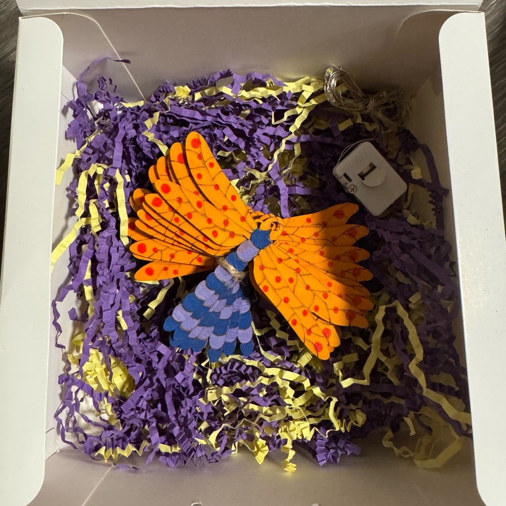 Handmade Coraline dragonfly lights